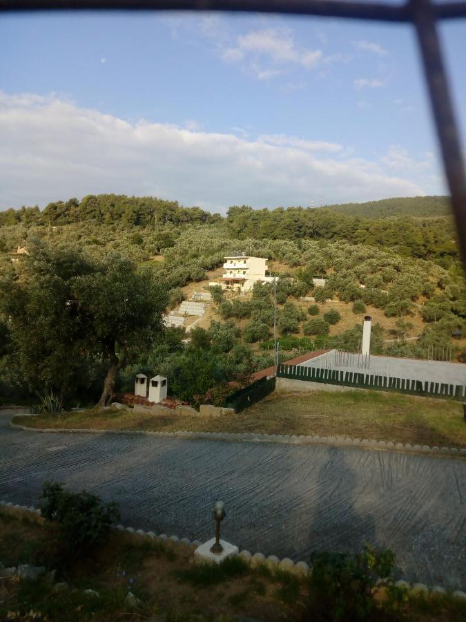 Villa Krini Skiathos Chora Extérieur photo