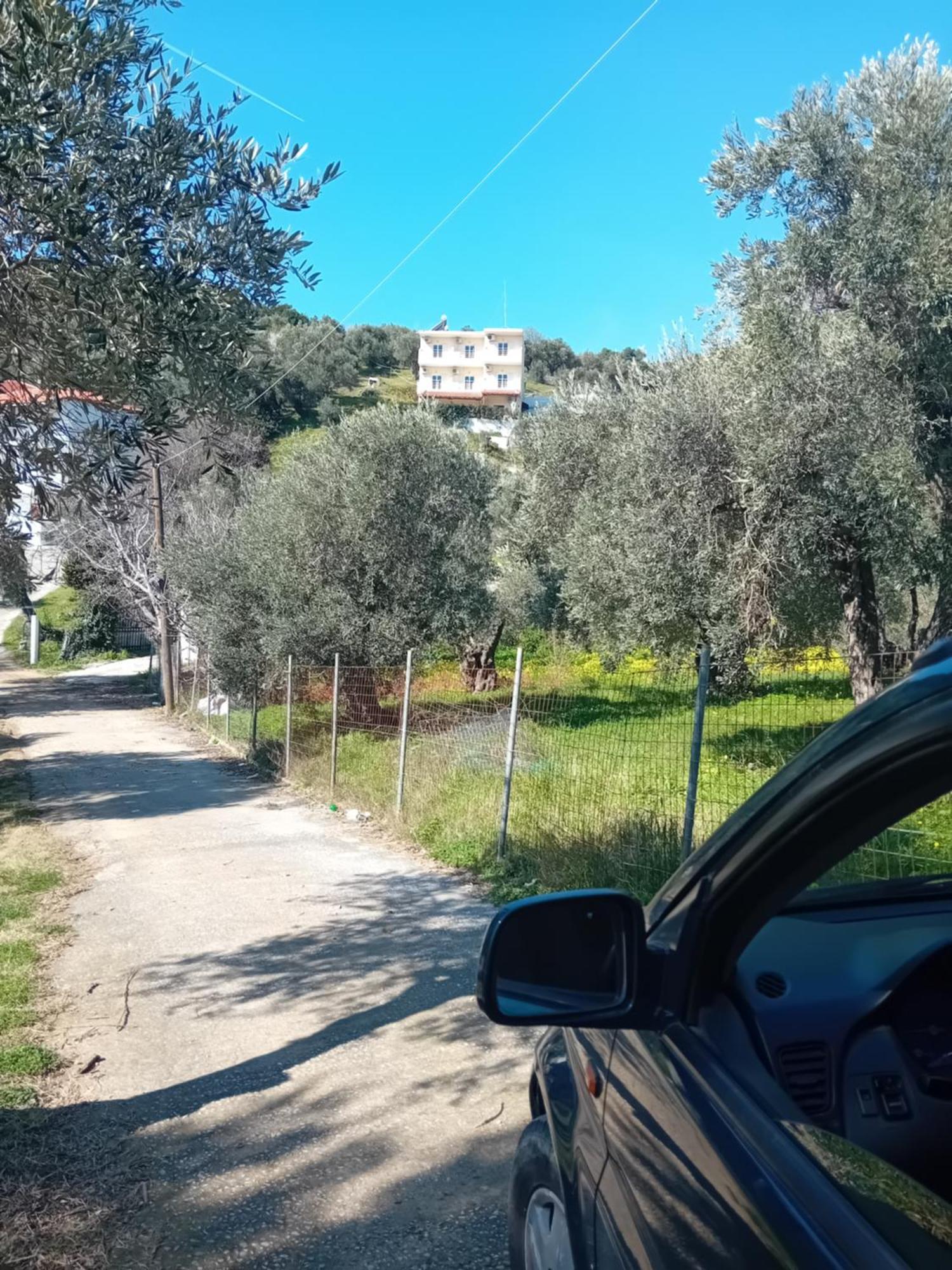 Villa Krini Skiathos Chora Extérieur photo